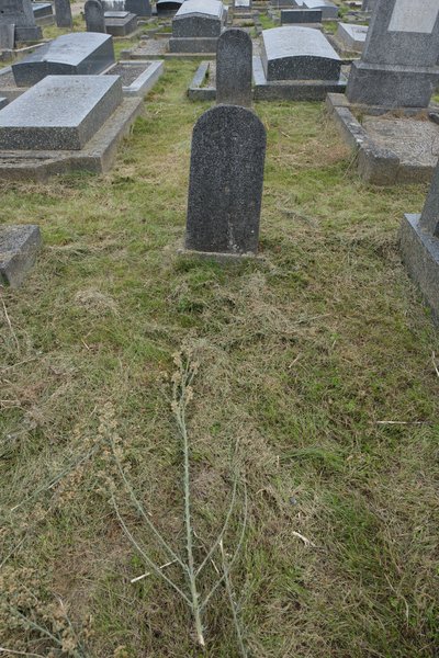 Borstein Marguerite का स्मारक