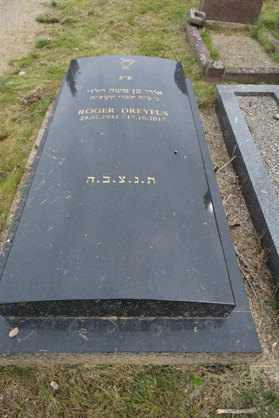 شاهدة قبر Dreyfus Roger