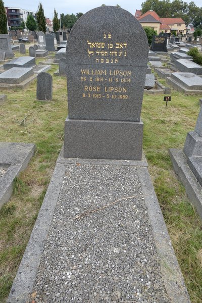 Grabstein von Lipson William
