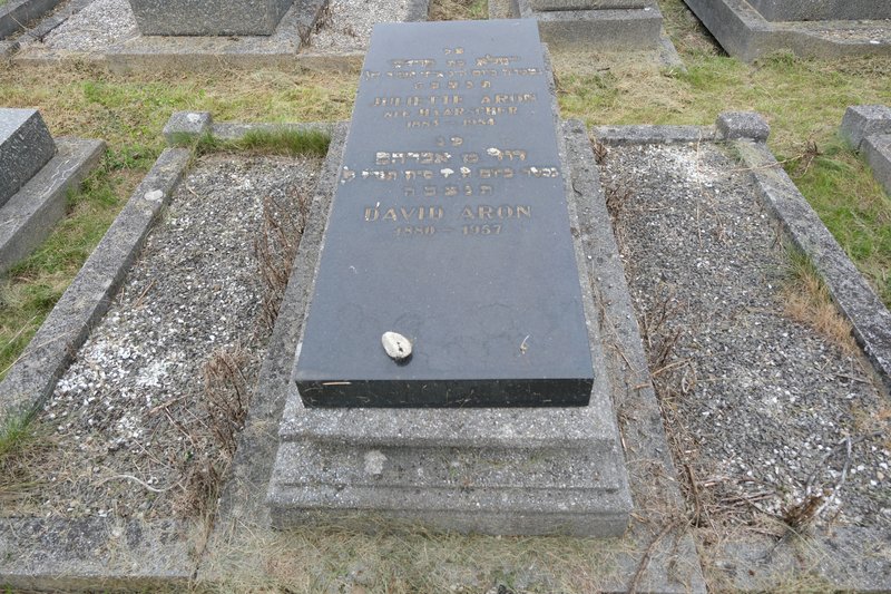 מצבת Aron David