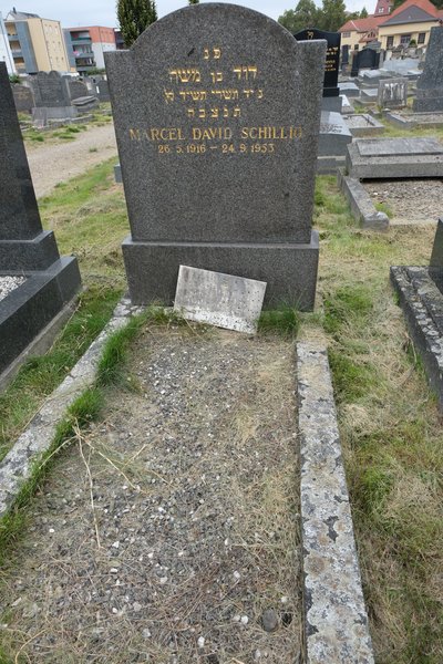 מצבת Schillio Marcel David