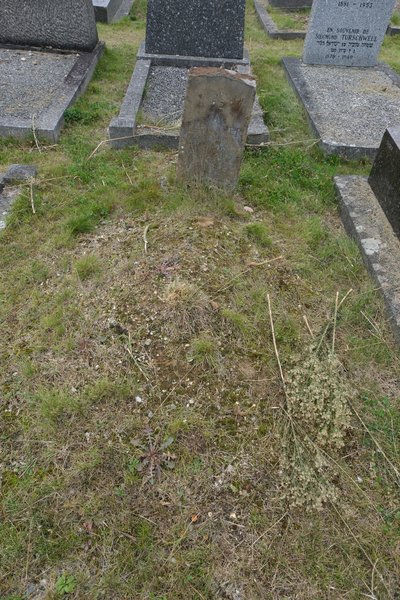 Grabstein von Fleischer Anne