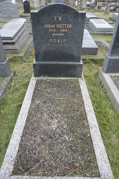 Estela de Netter Alfred