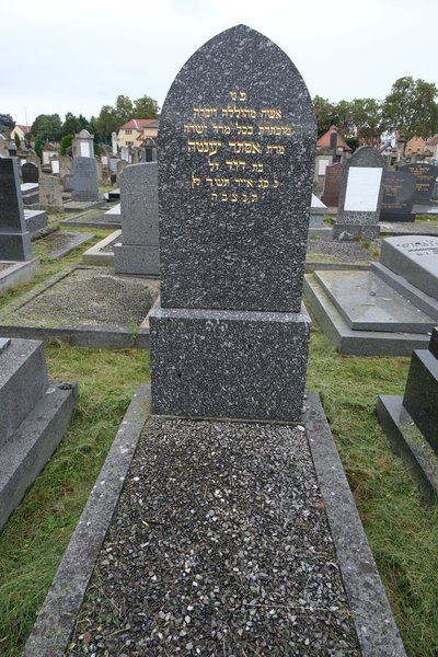 מצבת Fisch Jeanne Esther