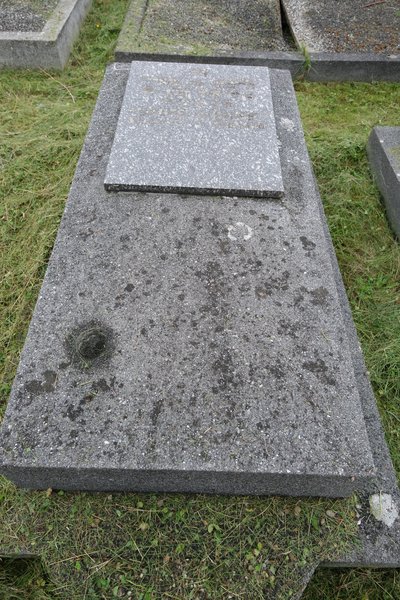 Tombstone of Franck Louis