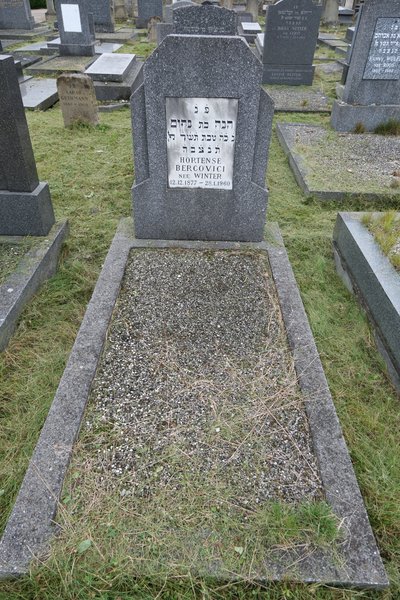 Grabstein von Bercovici Hortense