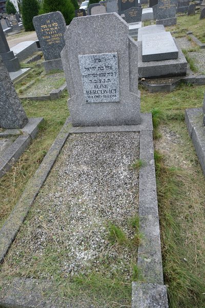 Tombstone of Nachtigal Aline