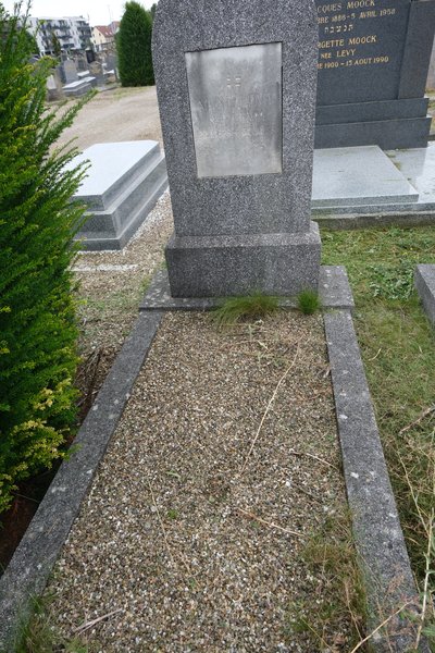 Estela de Levy Aline