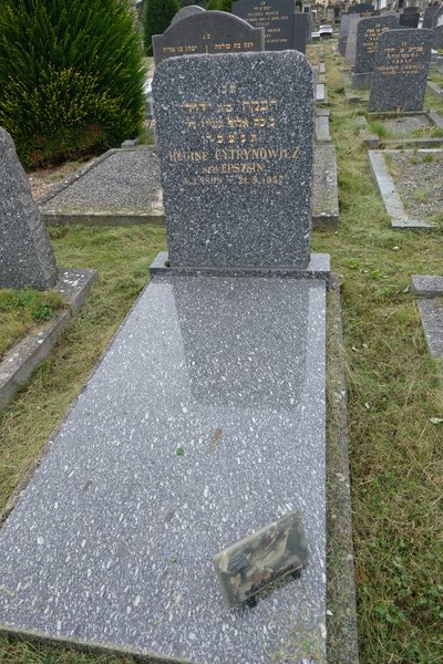 מצבת Cytryrowicz Régine