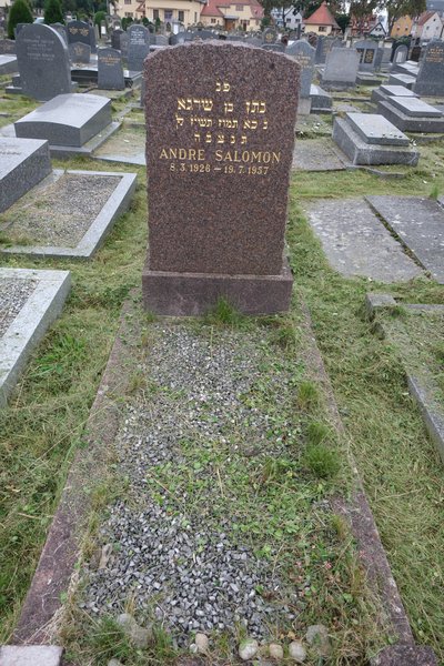 Stèle de Salomon André