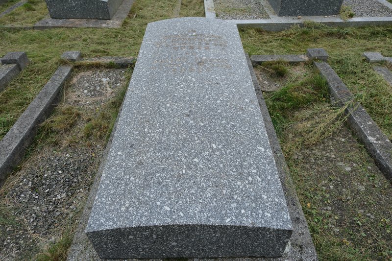 Grabstein von Frank Jenny