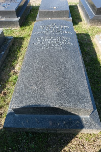Estela de Rosenstiel Irène