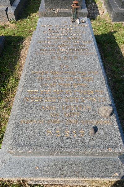 Stèle de Epstein Anne
