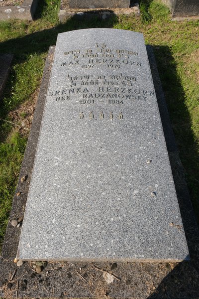 Tombstone of Herszkorn Srenka