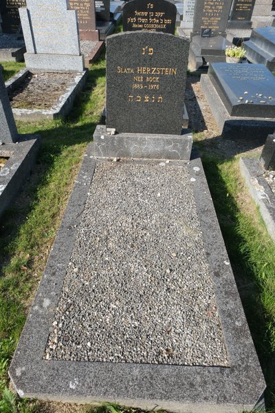 Stèle de Herzstein Slata