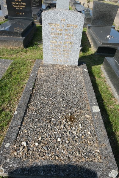 شاهدة قبر Weill Alfred