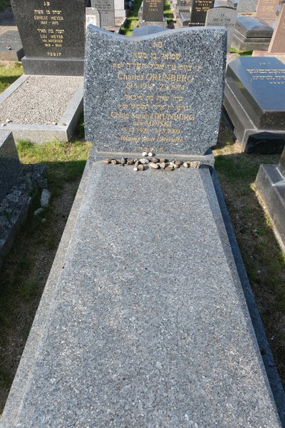 Lápide de Grunberg Chaja Sara