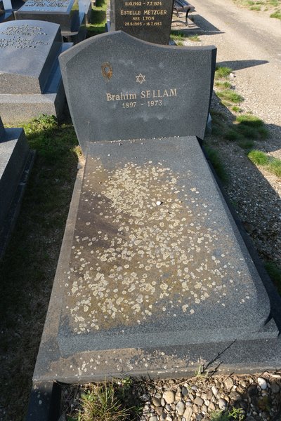 Estela de Sellam Brahim