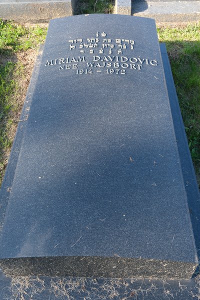 מַצֵּבה פון Davidovic Miriam