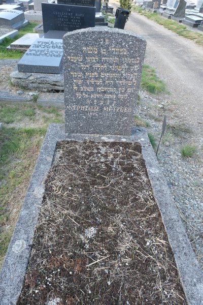 Lápide de Metzger Nephtalie