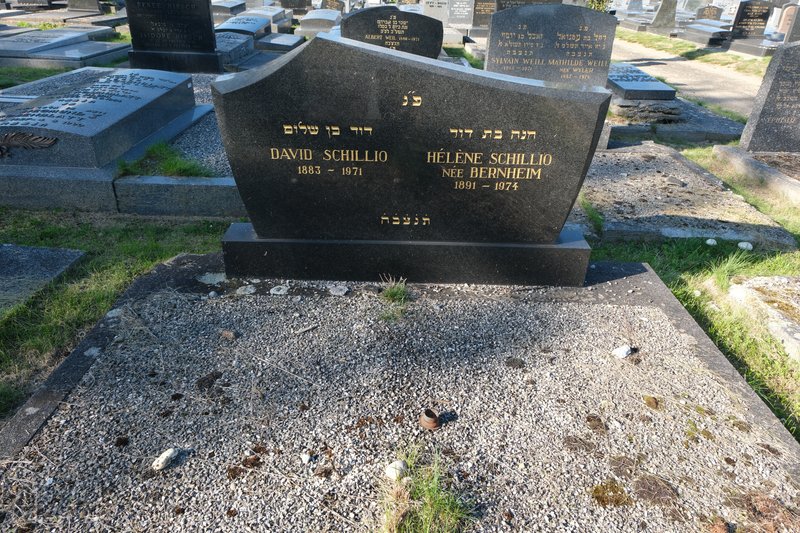 Estela de Schillio David