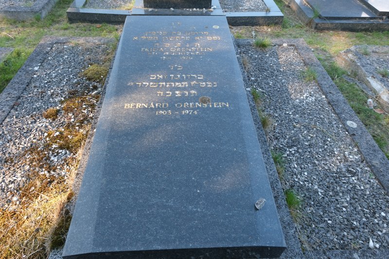 מצבת Orenstein Frida