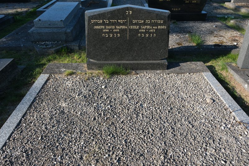 מצבת Sapira Joseph David
