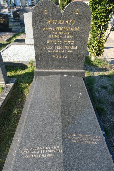 Estela de Feigenbaum Sally