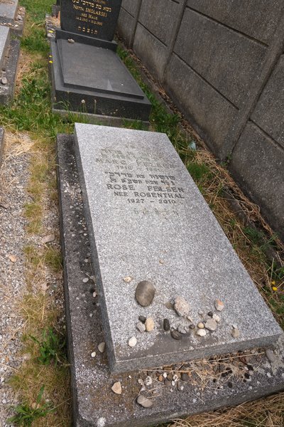 Lápide de Felsen Rose