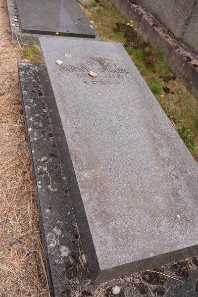 Stèle de Israel Fanny