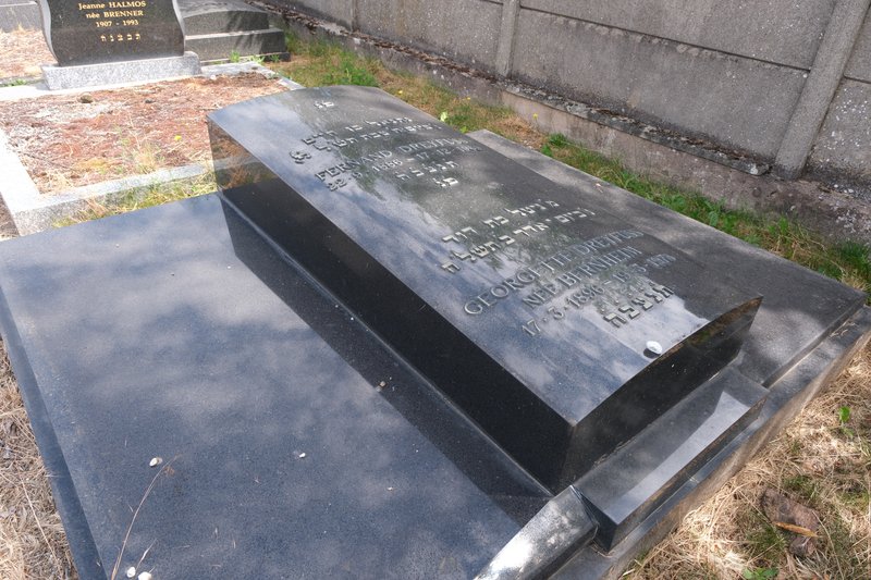 מצבת Dreyfuss Fernand