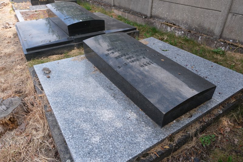 Grabstein von Dreyfus Renée