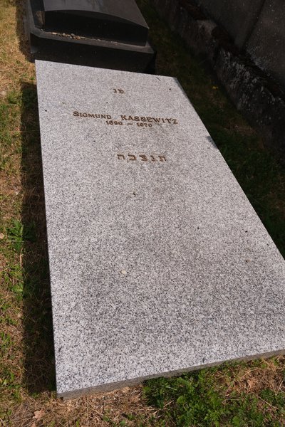 מַצֵּבה פון Kassewitz Sigmund