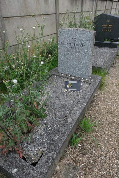 Grabstein von Lutzing Léonie