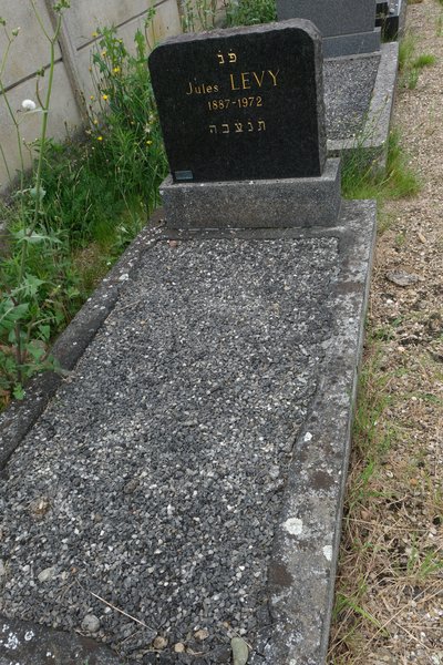 Grabstein von Levy Jules