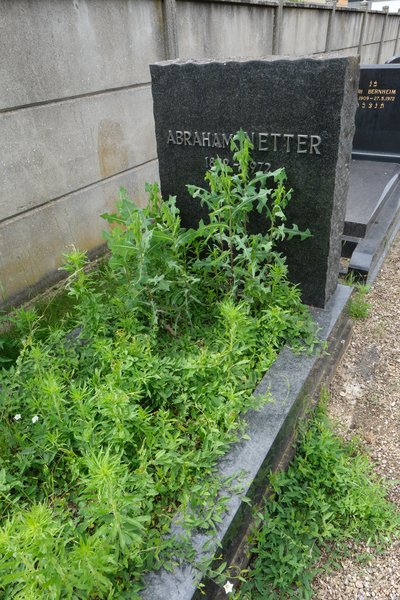 Stèle de Netter Albert