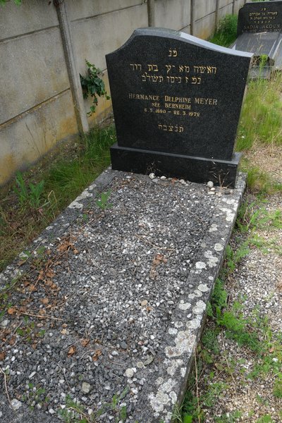 Tombstone of Meyer Delphine