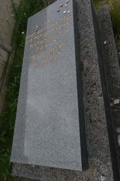 Estela de Dayan Saada