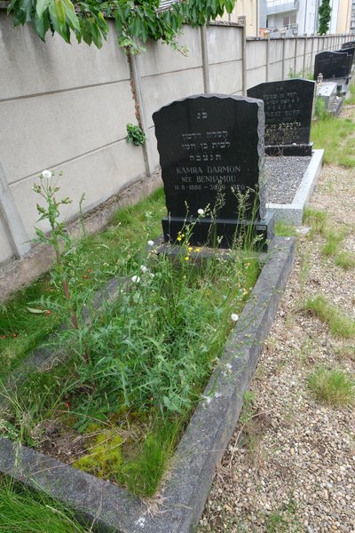 Stèle de Darmon Kamra
