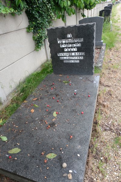 Grabstein von David Monique