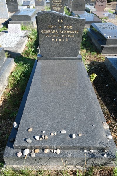 Stèle de Schwartz Georges