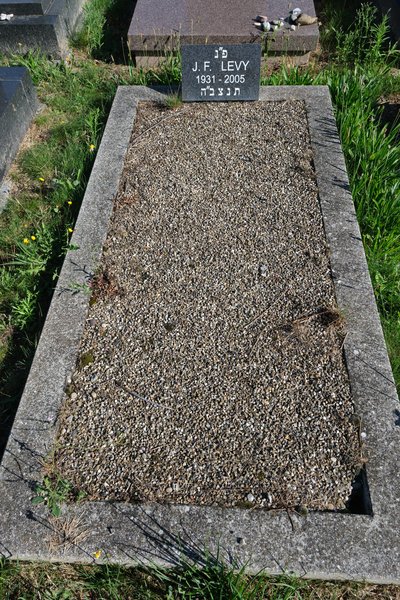 Grabstein von Levy Jean François