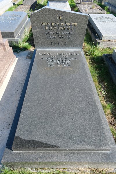 מצבת Friedfeld Samuel