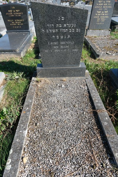 מַצֵּבה פון Dreyfus Laure
