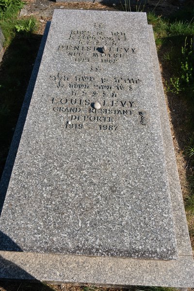 Grabstein von Levy Denise