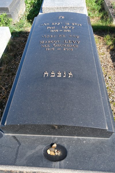מַצֵּבה פון Levy Paul