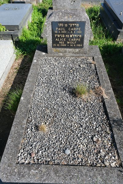 מַצֵּבה פון Carpe Alice