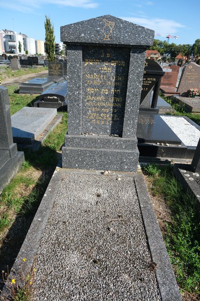 מצבת Lewi Jeanine