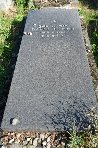 Grabstein von Bloch David