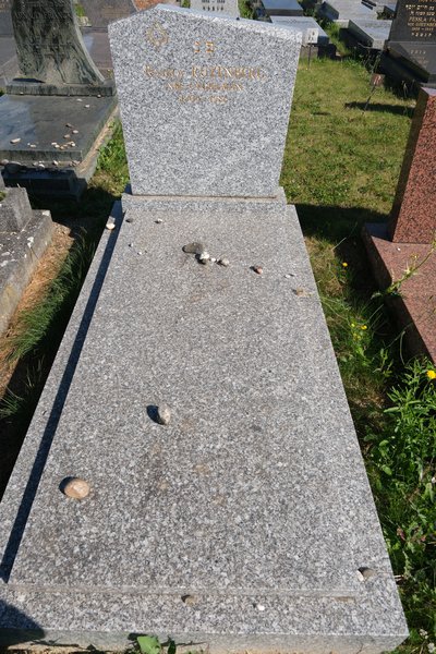 מצבת Rozenberg Rajzla